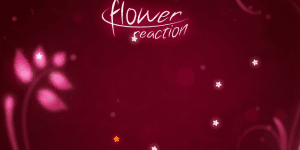 Hra - Flower Reaction