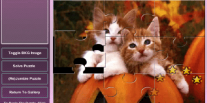 Puzzle s koťátky