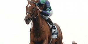 Hra - Horse Racing 3