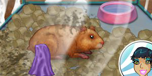 Hra - Hamster Daycare