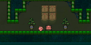 Pig Dream