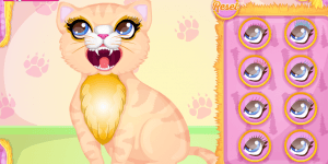 Hra - Precious Kitty Dentist