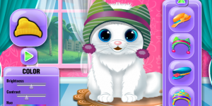 The Baby Kitten Care And Dressup