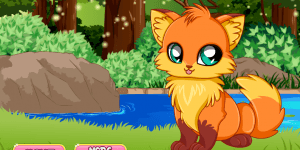 Hra - Pet Stars: Baby Fox