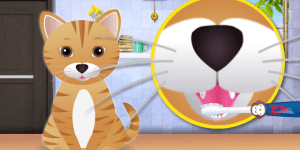 Hra - Kitty Grooming Salon
