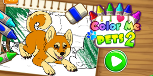 Hra - Color Me Pets 2