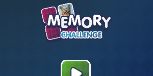 Hra - Memory Challenge