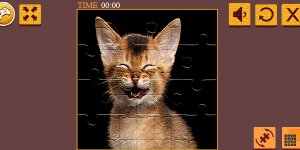 Hra - Abyssinian Puzzle Challenge