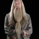 Albus P. W. B. Dumbledore