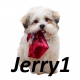 Jerry1